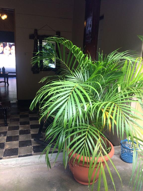 Hostel Los Abuelos Moyogalpa Zewnętrze zdjęcie